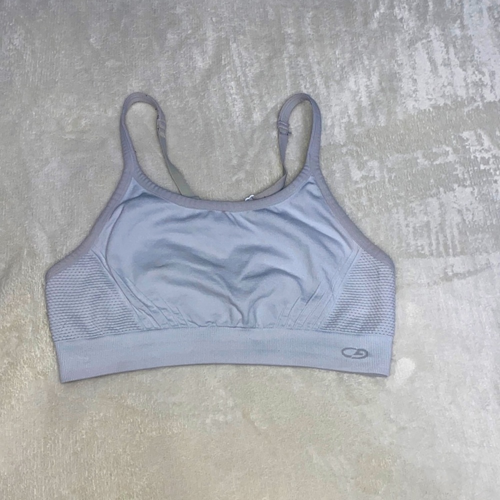 Champion gray sports bra